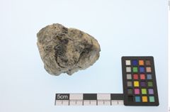 Foto von Gold (NHMW-MIN-Aw67)